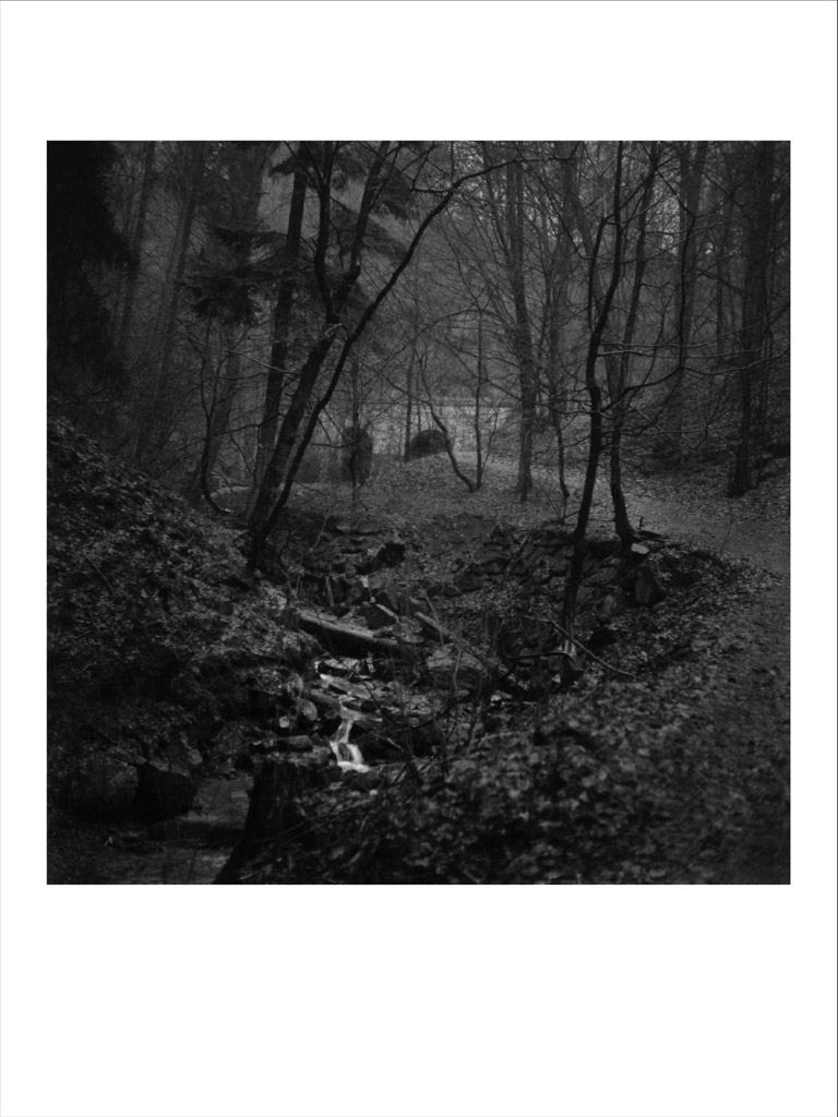 tty Vilma Heckela 2009