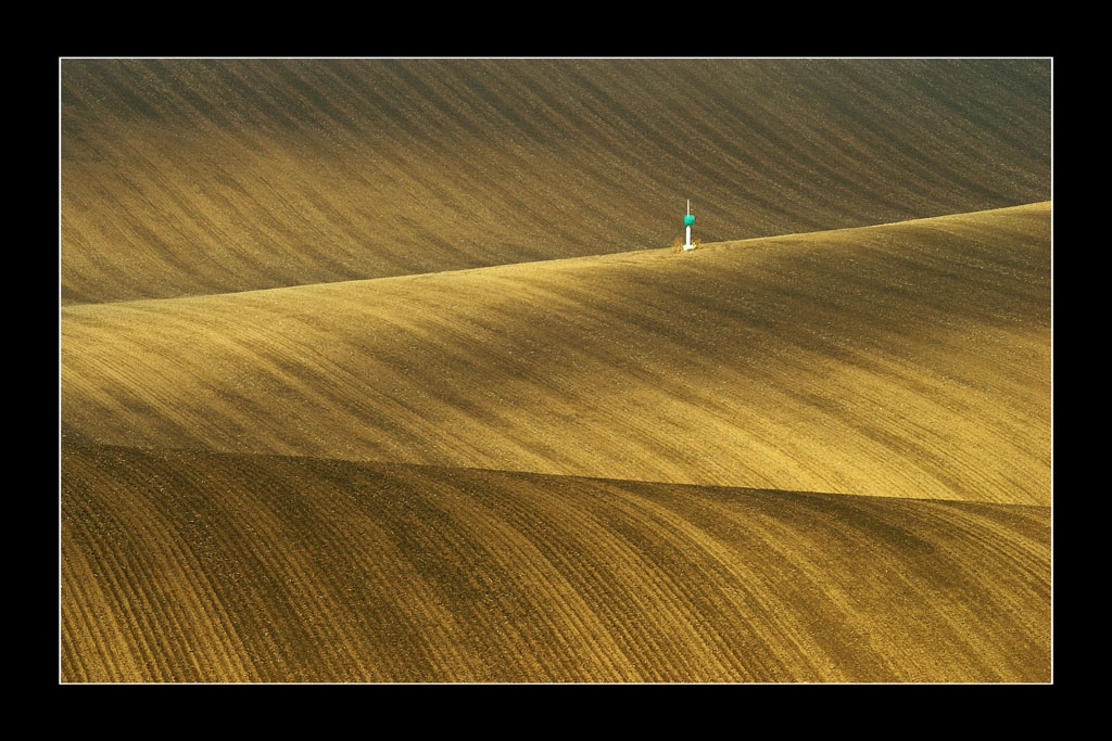 tty Vilma Heckela 2009