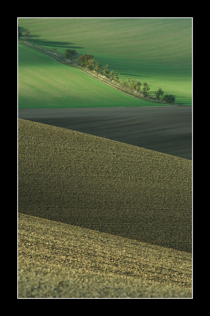 tty Vilma Heckela 2009