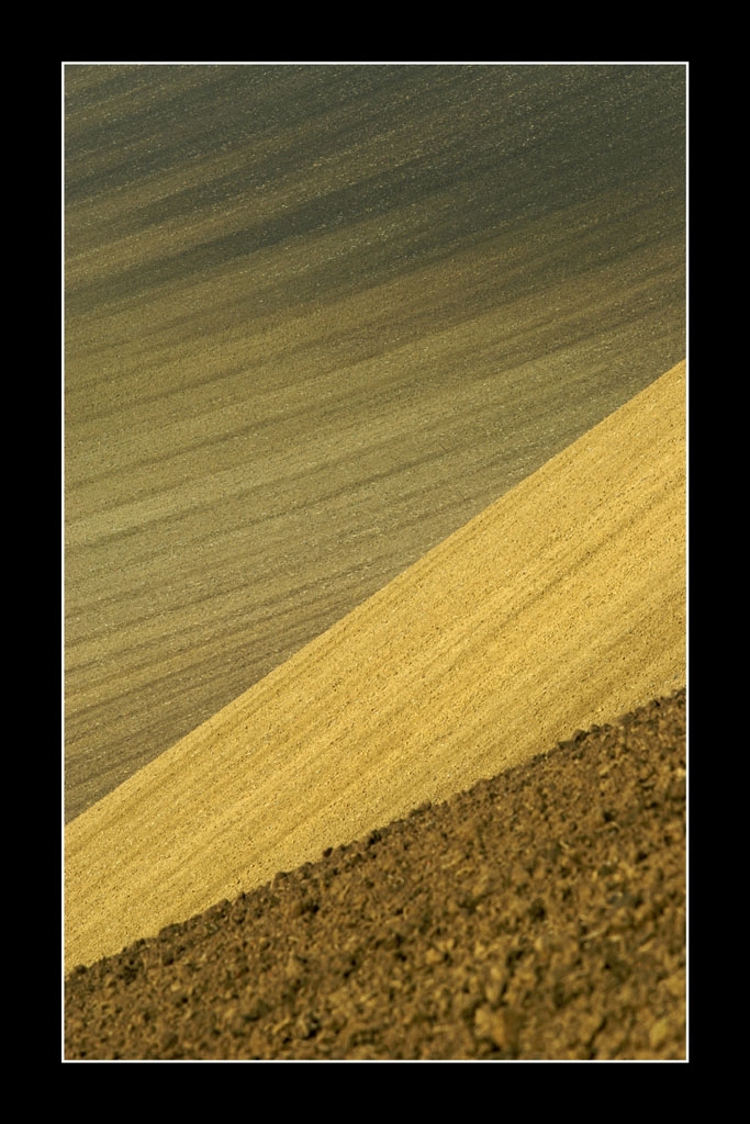 tty Vilma Heckela 2009