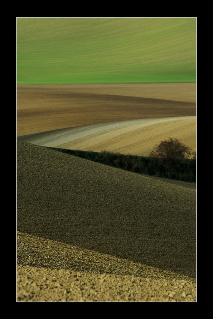 tty Vilma Heckela 2009