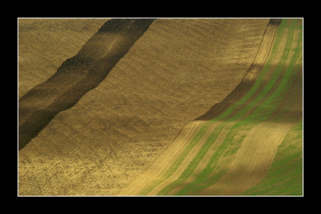 tty Vilma Heckela 2009