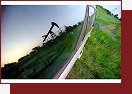 Bio-nafta