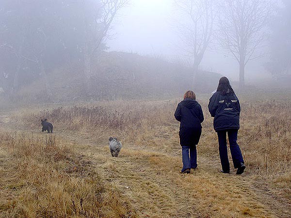 Podzimn Strn v Krkonoch