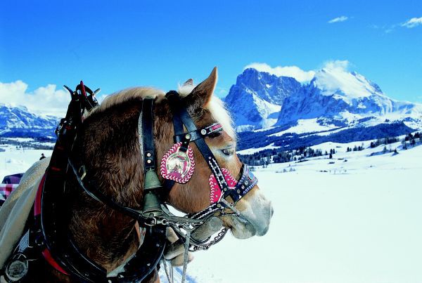 Dolomity, Jin Tyrolsko, zima