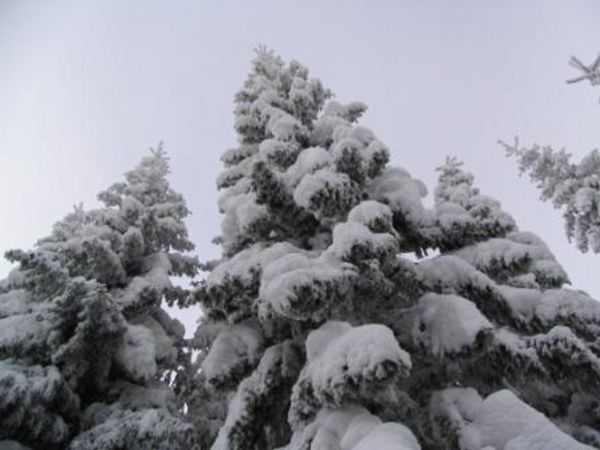 umava 8. ledna 2006
