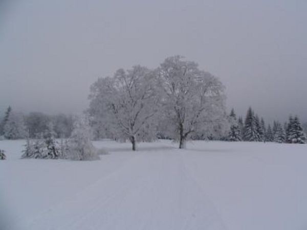 umava 8. ledna 2006