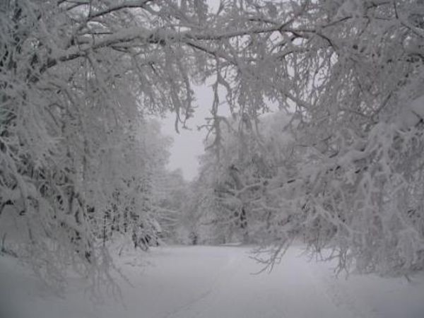 umava 8. ledna 2006