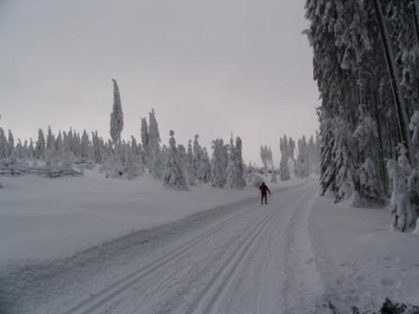 umava 8. ledna 2006