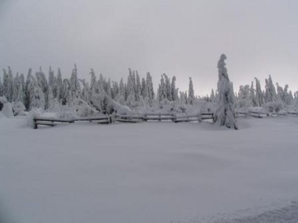 umava 8. ledna 2006