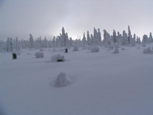 umava 8. ledna 2006