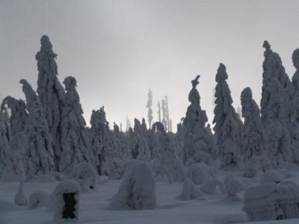 umava 8. ledna 2006