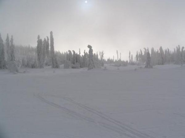 umava 8. ledna 2006