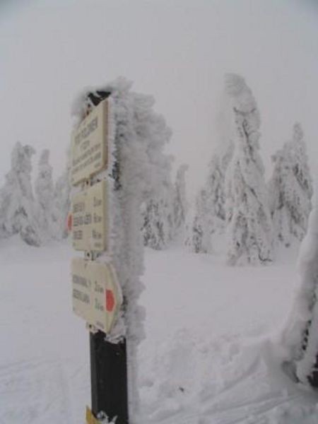 umava 8. ledna 2006