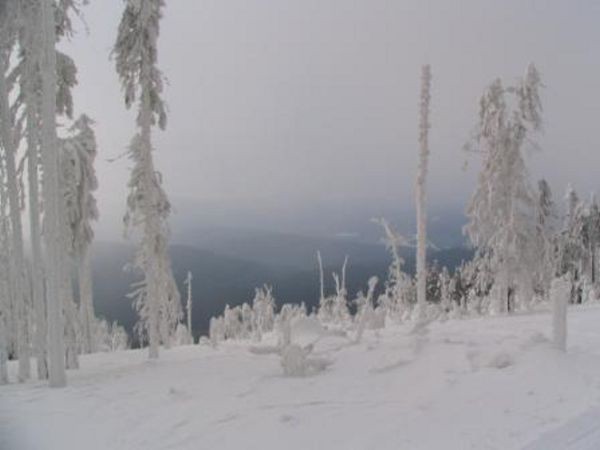 umava 8. ledna 2006