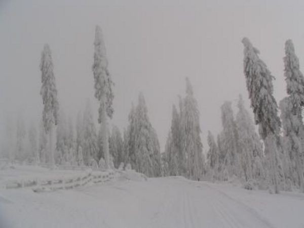 umava 8. ledna 2006