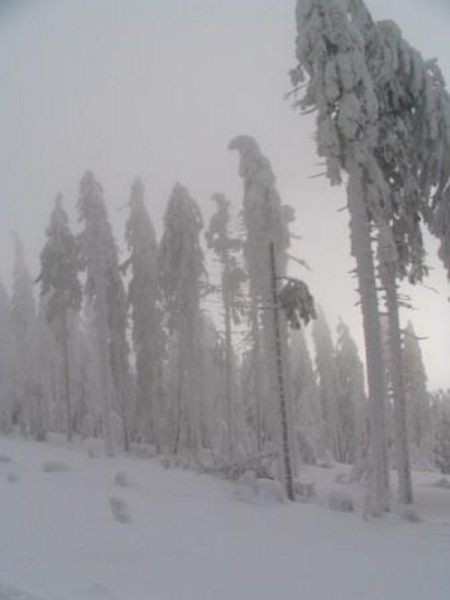 umava 8. ledna 2006