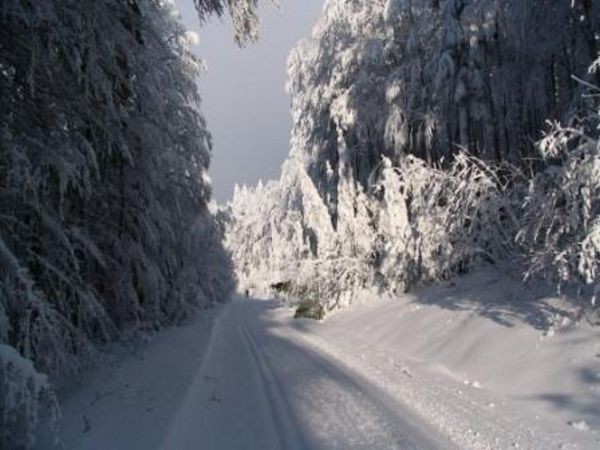 umava 8. ledna 2006