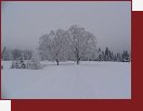 umava