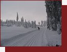 umava