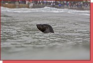 Cold Water Classic South Africa 
