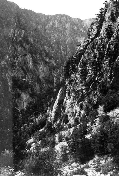 ern hora, Tara a ar Planina