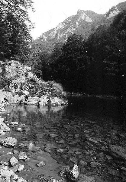 ern hora, Tara a ar Planina