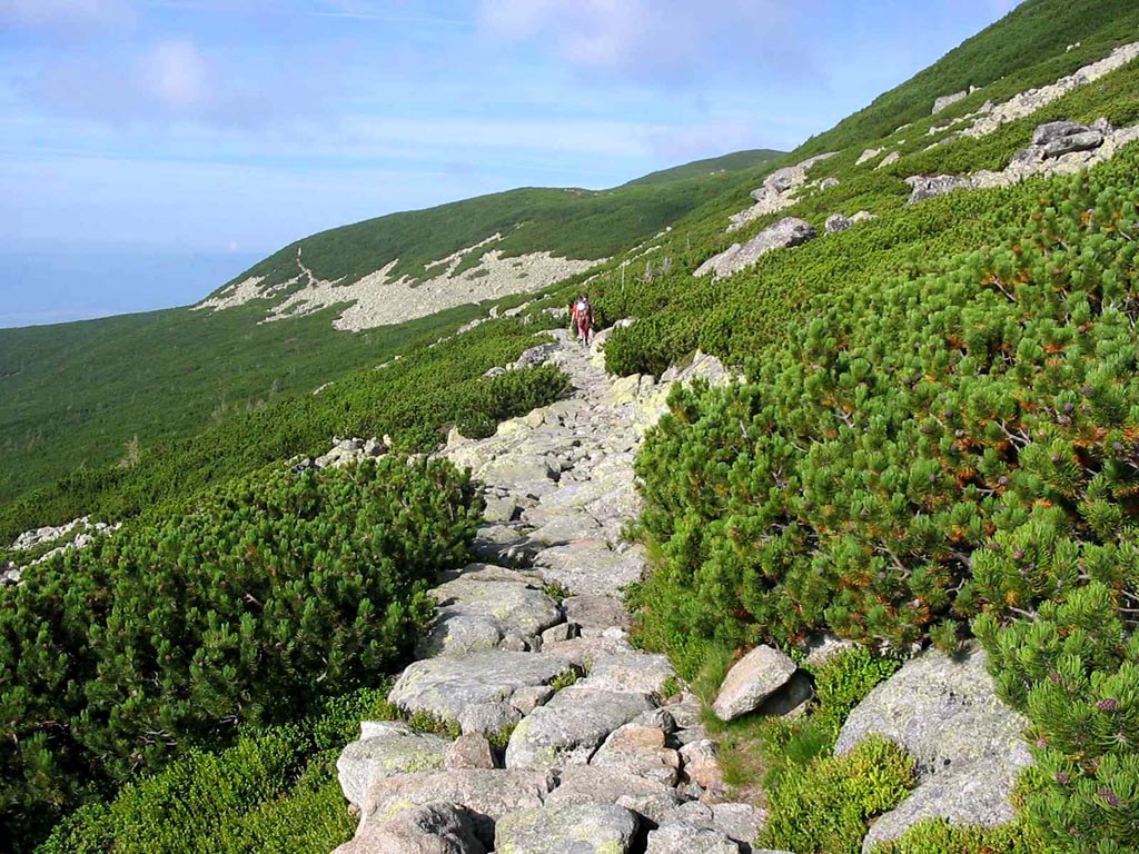 Vysok Tatry, Batizovsk tt, Kuttovy plotny