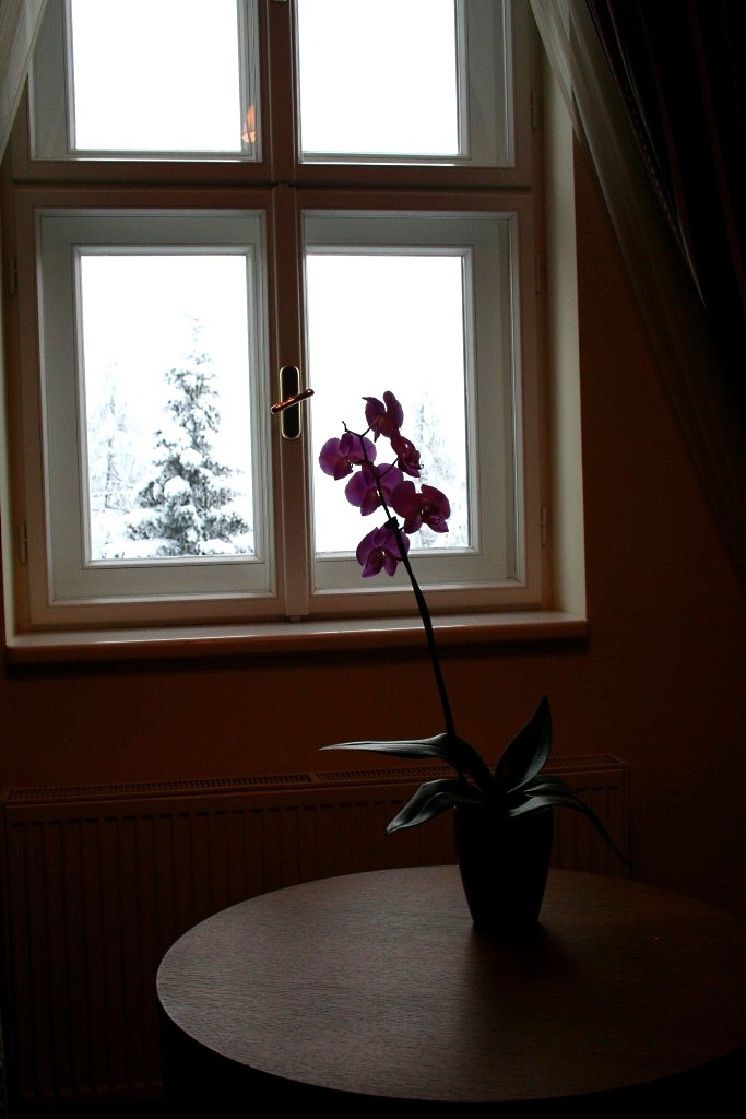 Kempinski Vysok� Tatry - Horydoly.cz 