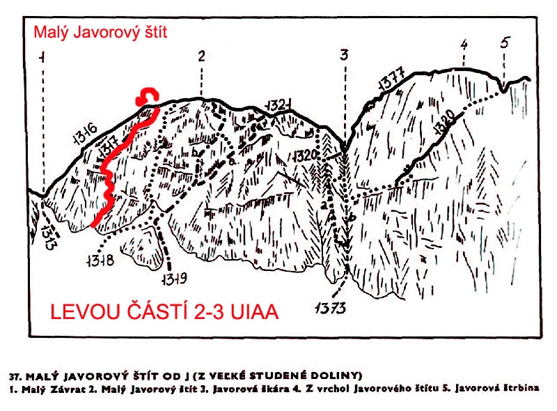 Mal Javorov tt, cesta Levou st 2-3