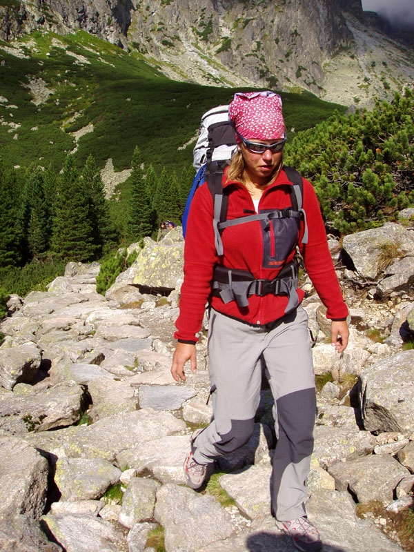 Vysok Tatry, Ledov tt