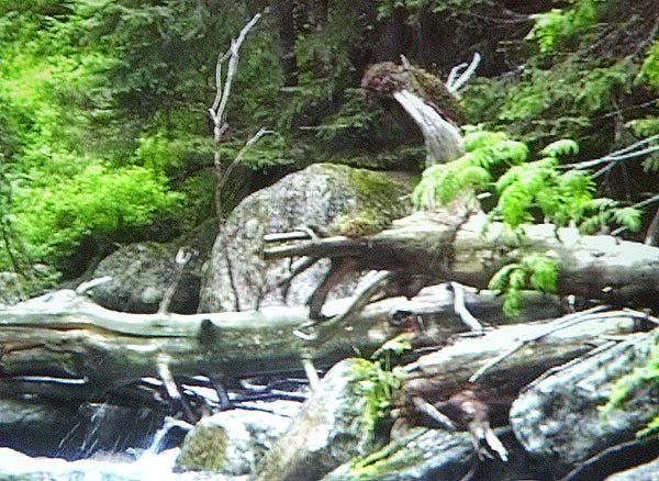 Tatry Mystrium, filmov dokument