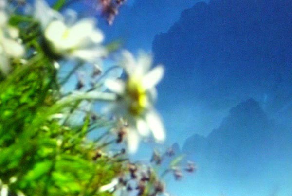 Tatry Mystrium, filmov dokument