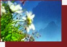 Tatry Mystrium         