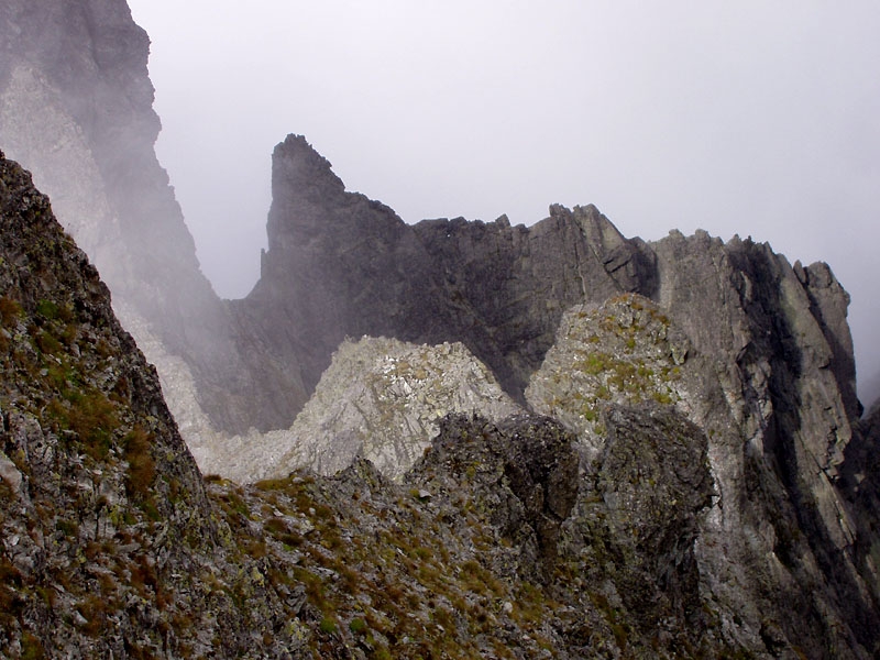 Vysok Tatry, Snhov hrby