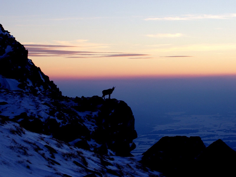 Vysok Tatry, Zlomiska, vysokohorsk lyovn 