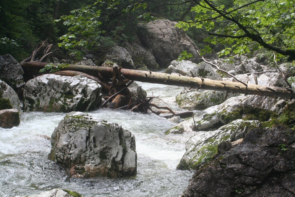 Sjezd z Tauplitzalm do Tauplitz - Horydoly.cz 