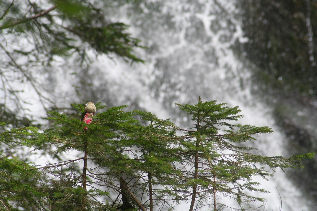 Sjezd z Tauplitzalm do Tauplitz - Horydoly.cz 