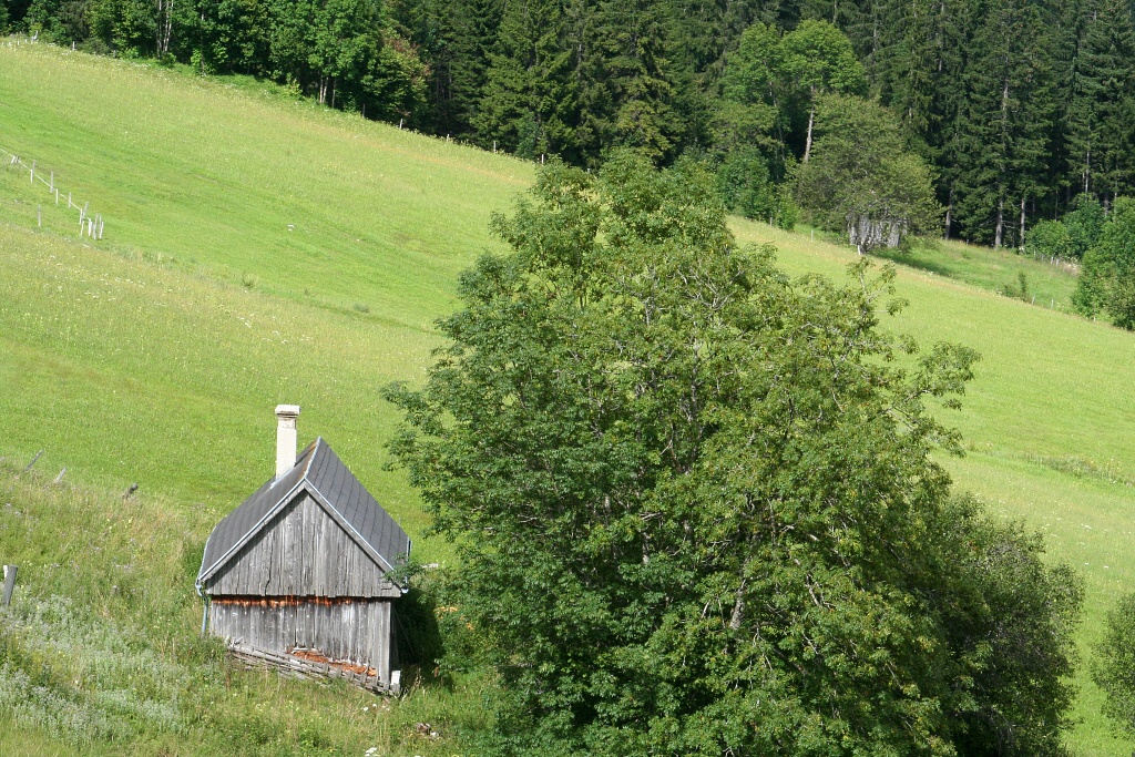 Sjezd z Tauplitzalm do Tauplitz - Horydoly.cz 