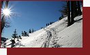 Telemark