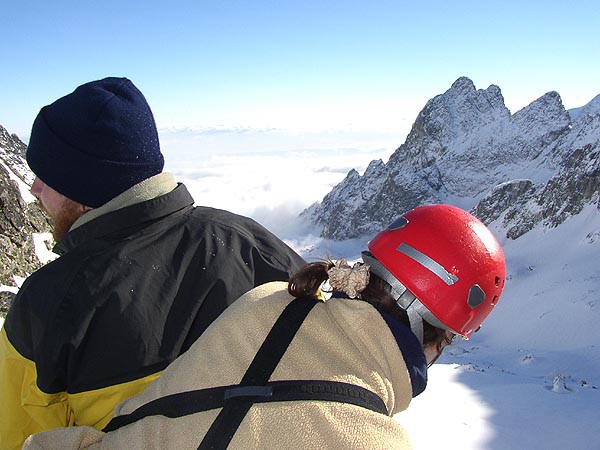 Vysok Tatry, Try Expres