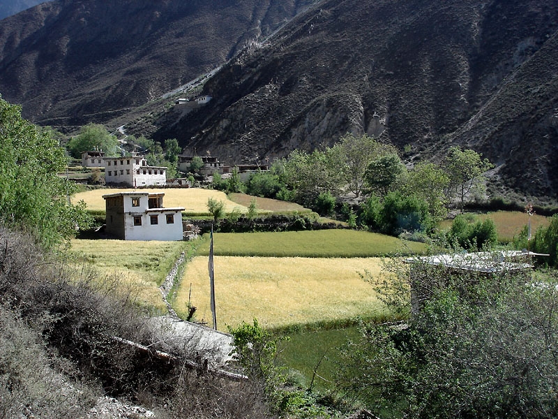 Tibetsk venkov