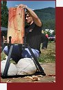 Timbersports, mistrovstv R 2006