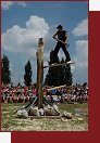Timbersports, mistrovstv R 2006
