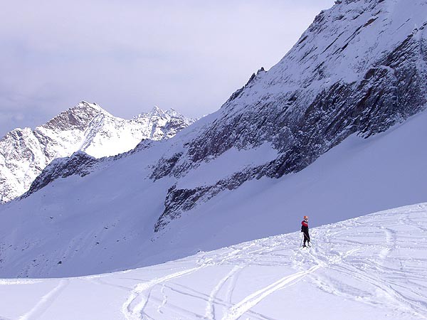 Passo Tonale, freeriding