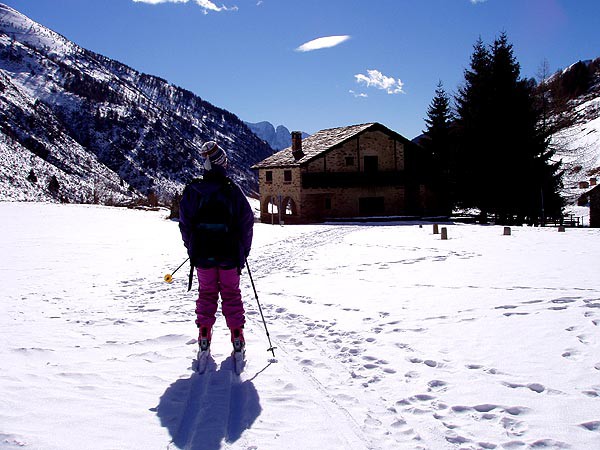 Passo Tonale, freeriding