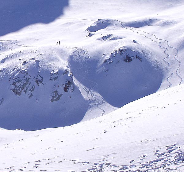 Passo Tonale, freeriding