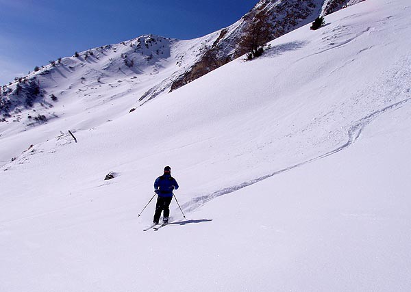 Passo Tonale, freeriding