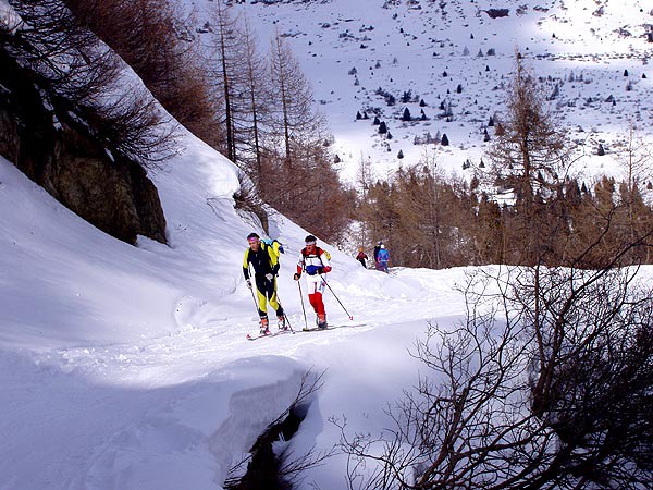 Passo Tonale, freeriding