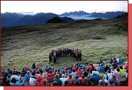 Tny Dolomit 